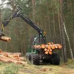 Come usare le macchine per la silvicoltura