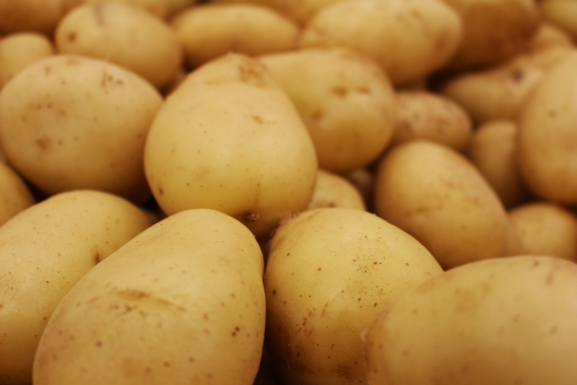 Come cucinare le patate lesse senza sbagliarle