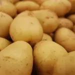 Come cucinare le patate lesse senza sbagliarle