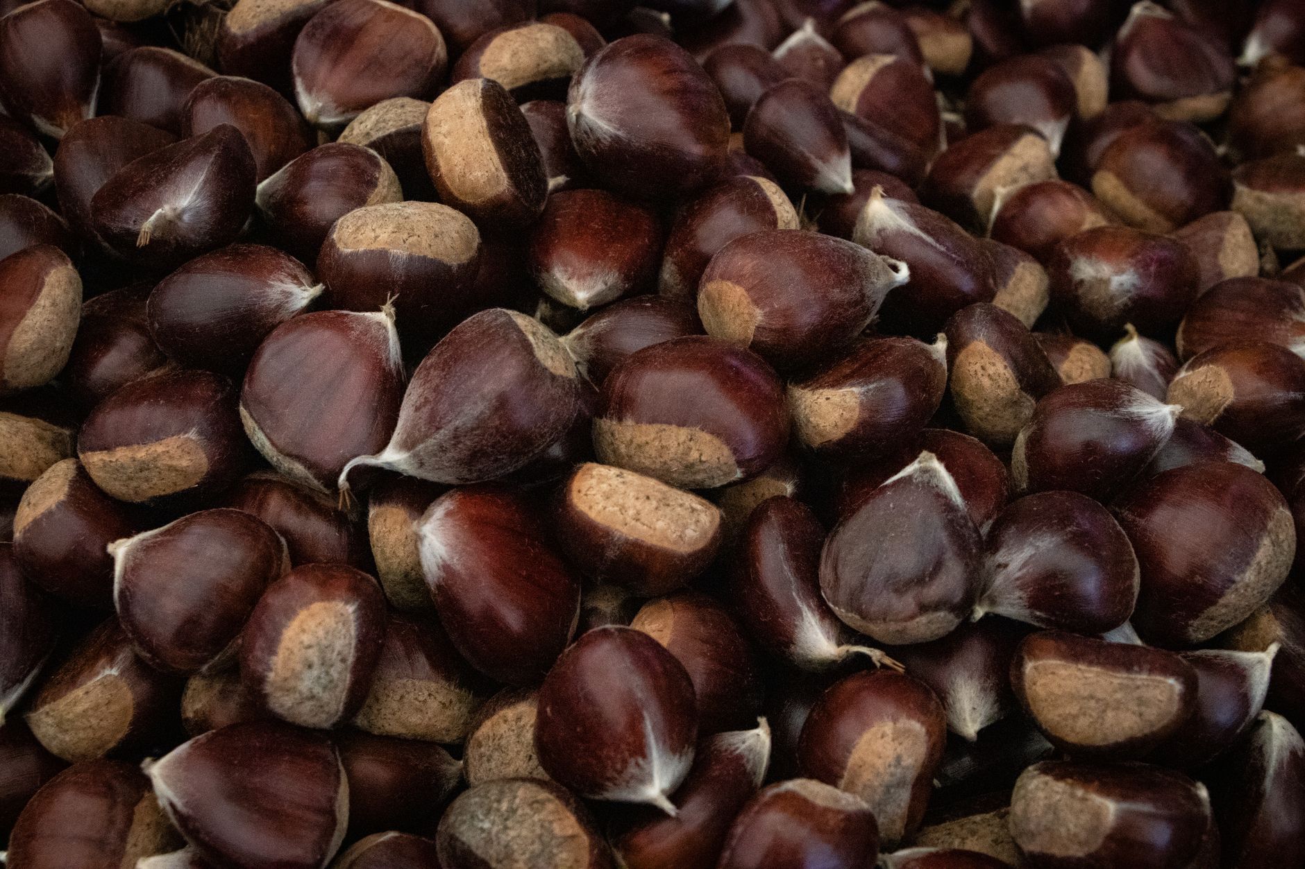 Castagne come conservare: guida completa