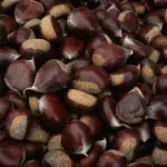Castagne come conservarle: guida completa