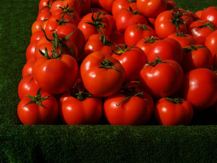 Come fare la passata di pomodori in casa