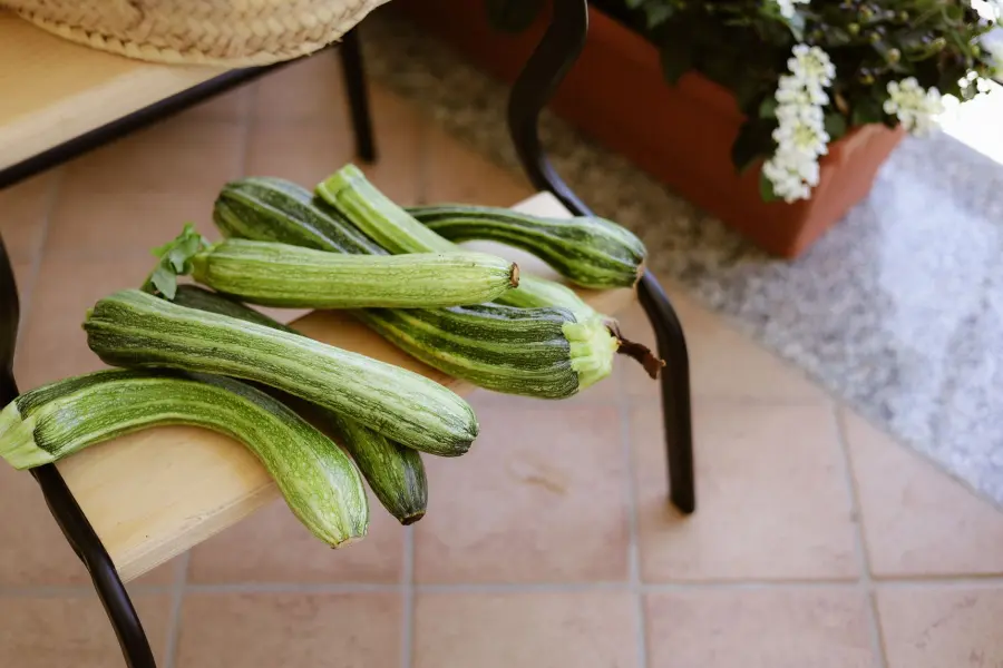 Zucchine come conservare per l'inverno