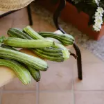 Zucchine come conservare per l'inverno