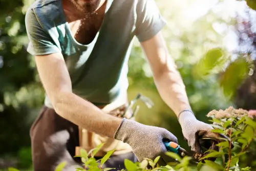 Come tenere in ordine il proprio giardino: strumenti da utilizzare e azioni da svolgere