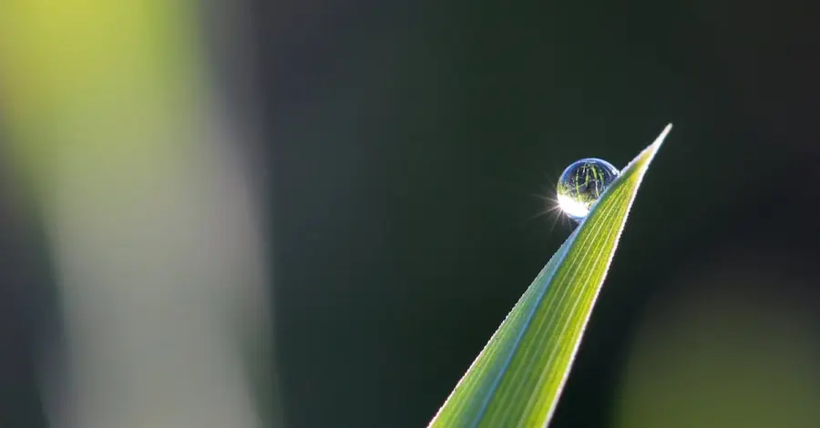 Problemi di drenaggio nel giardino? Ecco come risolverli!