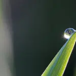 Problemi di drenaggio nel giardino? Ecco come risolverli!