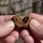 Come viene realizzato un prodotto naturale a base di CBD?