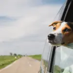 Come preparare l'auto per un lungo viaggio