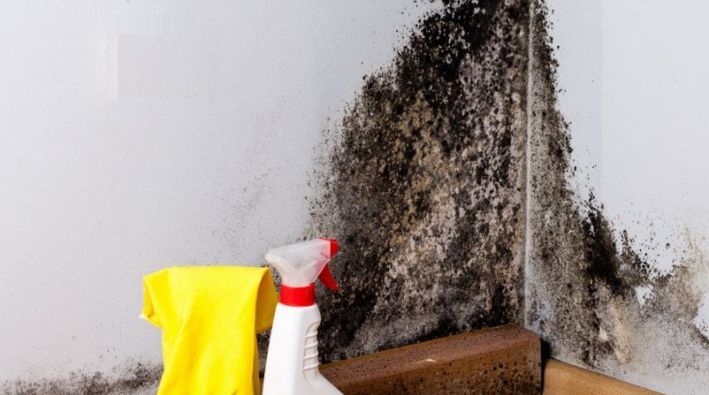 Come eliminare la muffa dalle pareti