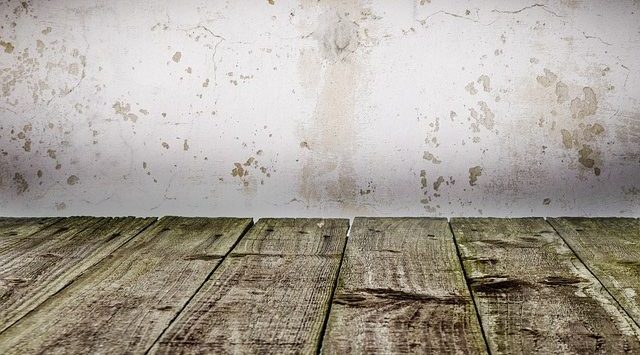 Come eliminare la muffa definitivamente in casa