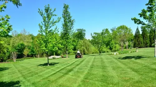 Come si cura il prato del giardino, prato inglese perfetto
