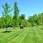 Come si cura il prato del giardino, prato inglese perfetto