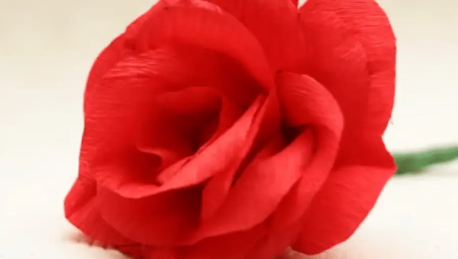 Come fare fiori di carta semplici: fiore di carta crespa e velina