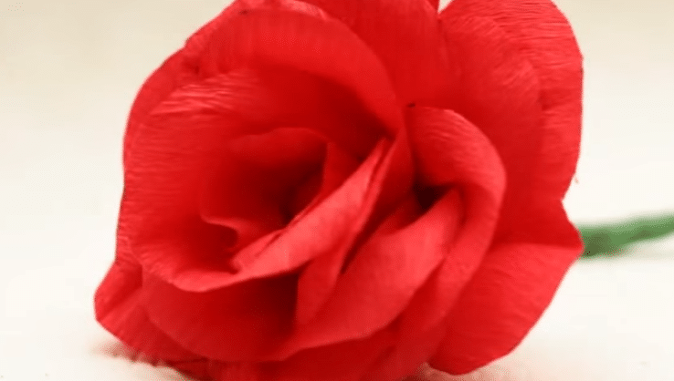 Come fare fiori di carta semplici: fiore di carta crespa e velina