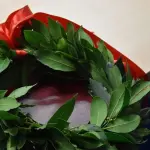 Come fare una corona d'alloro