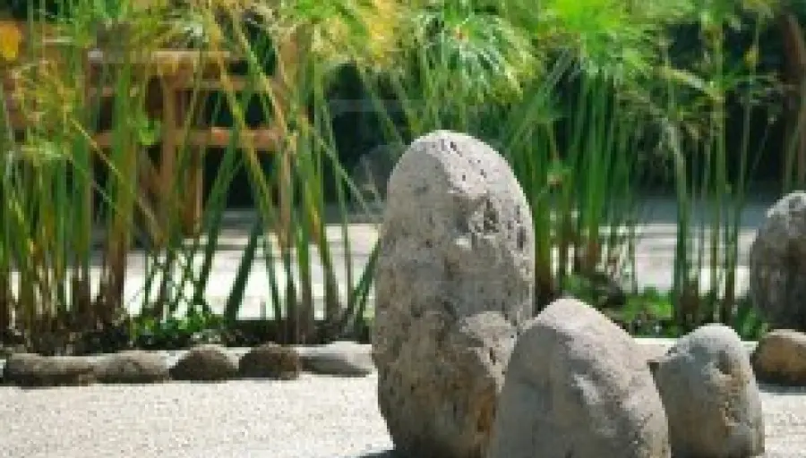 Come fare un giardino zen