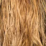 Come combattere le doppie punte