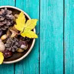 Come curarsi con un fiore l'arte del Ikebana