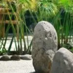 Come fare un giardino zen