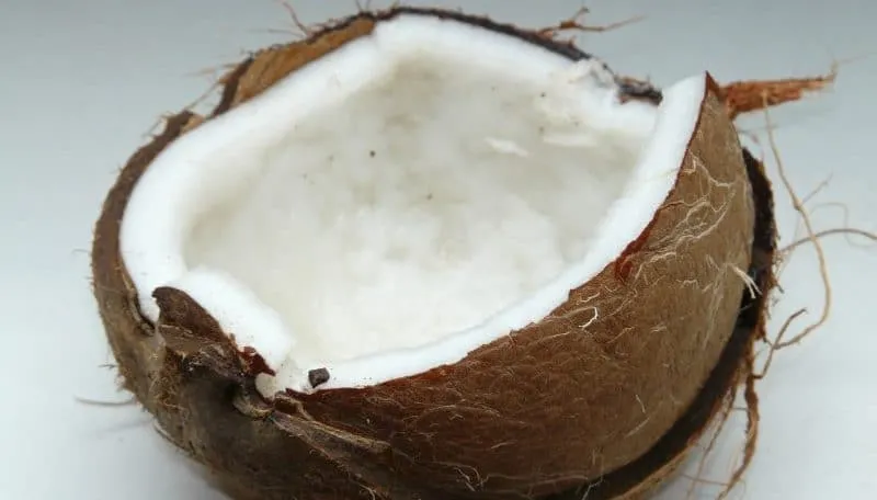 Come aprire facilmente una noce di cocco