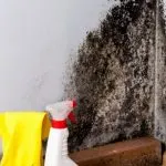 Come eliminare la muffa dalle pareti