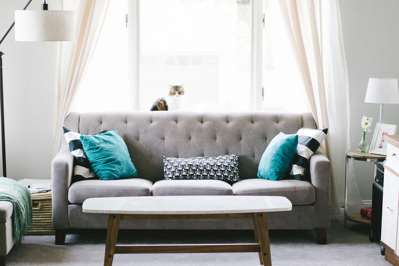 Come scegliere il divano migliore per il tuo salotto
