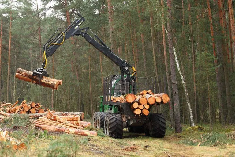 Come usare le macchine per la silvicoltura